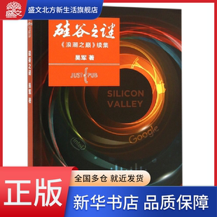 硅谷之谜 浪潮之巅续集