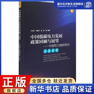 中国低碳电力发展政策回顾与展望——中国电力减排研究202