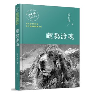 藏獒渡魂/沈石溪获奖作品系列