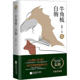 朱辉 精 江苏凤凰文艺出版 社 9787559474650 书籍正版 小说 牛角梳白驹