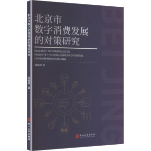 北京市数字消费发展 法规 对策研究经济理论