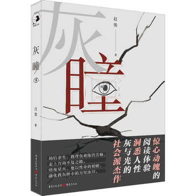 灰瞳 赵骏 著 中国现当代文学 文学 重庆出版社 图书