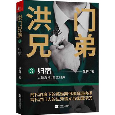 洪门兄弟 3 泳群 著 中国现当代文学 文学 江苏文艺出版社 图书