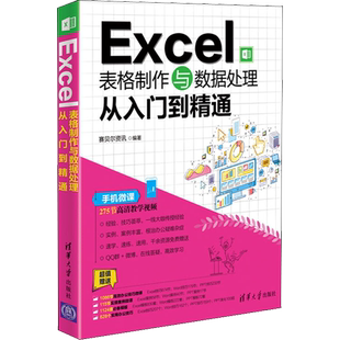 Excel表格制作与数据处理从入门到精通 赛贝尔资讯 著 操作系统 专业科技 清华大学出版社 9787302507024 图书