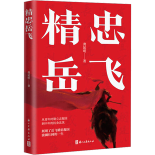 精忠岳飞 民间故事