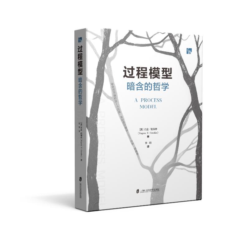 过程模型：暗含的哲学外国哲学
