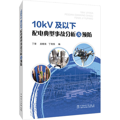10kV及以下配电典型事故分析及预防 丁荣、吴晓海、丁利恒 著 丁荣,吴晓海,丁利恒 编 水利电力 专业科技 中国电力出版社