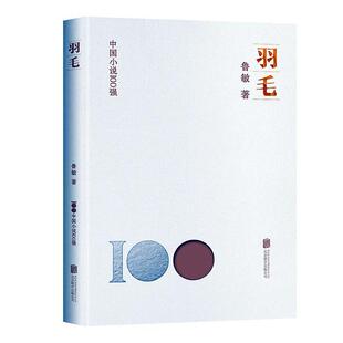 羽毛 小说 鲁敏 公司 9787559670489 北京联合出版 书籍正版