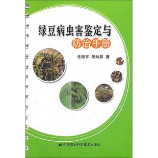 段灿星 中国农业科学技术出版 图书 专业科技 朱振东 9787511609199 著 社 绿豆病虫害鉴定与防治手册 种植业