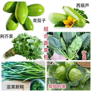 【混合装蔬菜】露天打趴地菠菜新鲜农家新鲜青茄子韭菜包菜茼蒿菜