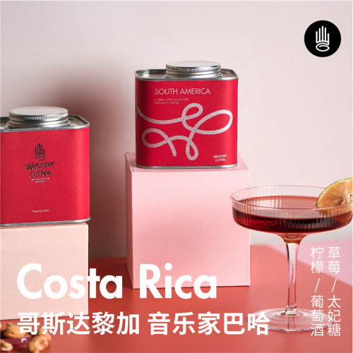 哥斯达黎加咖啡豆/葡萄干蜜处理