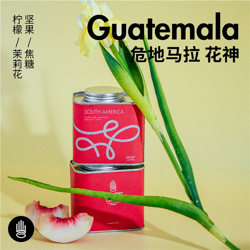 危地马拉咖啡豆/安提瓜花神水洗