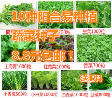 10种阳台易种蔬菜种子春季四季播蔬菜种孑套餐盆栽种菜籽肥生菜籽