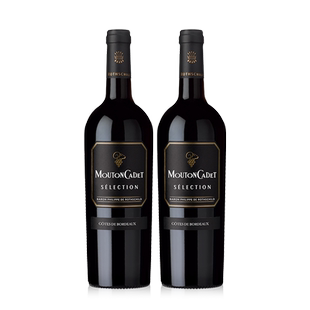 【官方直营】 木桐嘉棣法国进口AOC精选波尔多丘红葡萄酒 双支装