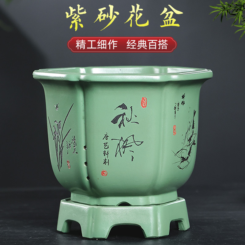 精美养眼，适种广泛，配紫砂底座