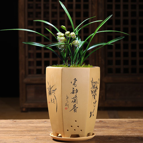 透气紫砂兰花盆带托盘清仓特惠