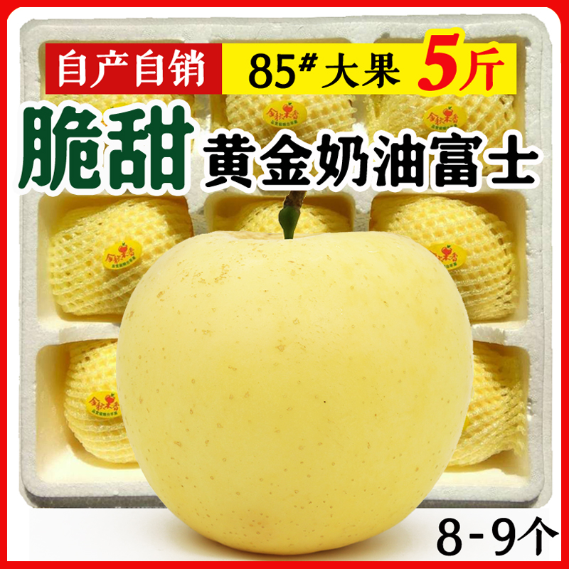 脆甜山东烟台黄金奶油富士苹果大