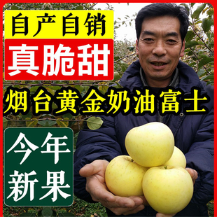 包邮 苹果水果新鲜 5斤 山东烟台栖霞红富士苹果 脆甜黄金奶油富士