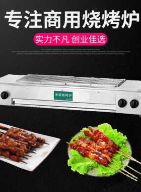 腌制冷冻调理户外烧烤食材