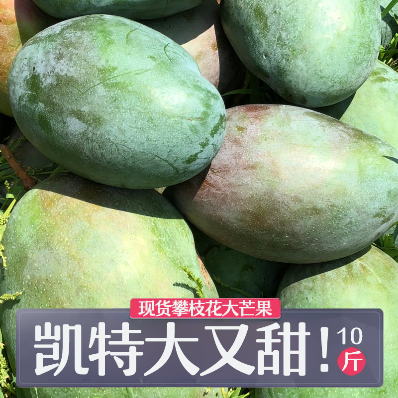現貨四川攀枝花凱特芒果當季新鮮水果批發包郵整箱10斤裝特大青芒