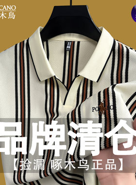 啄木鸟夏季新款竖条纹翻领短袖T