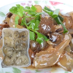 天然海参水发球参乌元球参500g大肉参 乌圆海参酒店宾馆特色食材