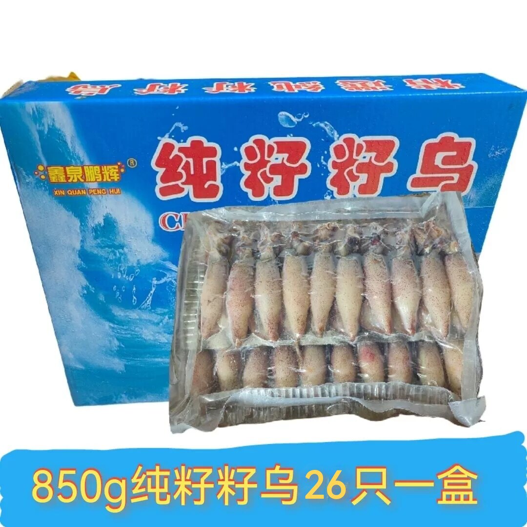 海兔子乌贼个个带籽满籽籽乌