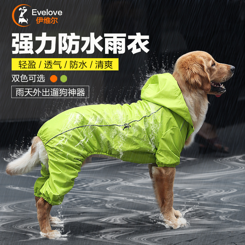 金毛狗狗雨衣中大型犬