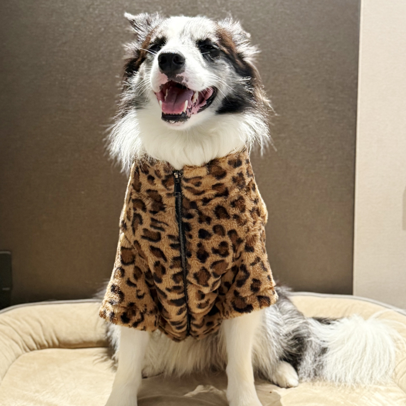 狗狗衣服豹纹拉布拉多金毛保暖