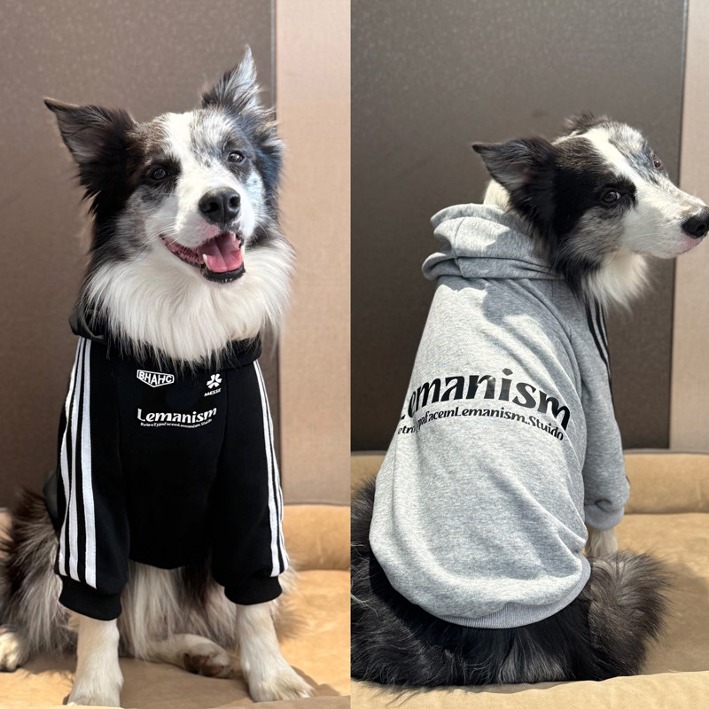 边牧衣服春秋套头衣服中大型犬潮牌拉布拉多金毛防掉毛衣服