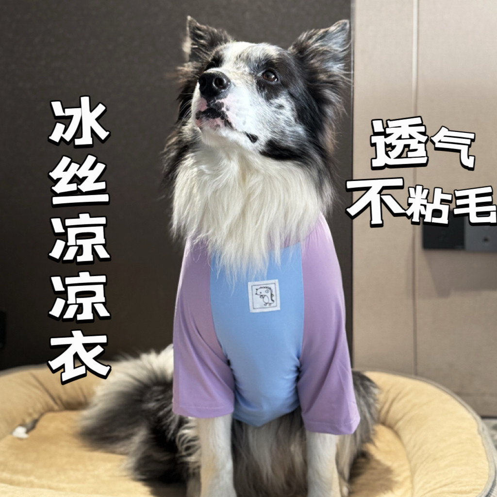 边牧衣服夏季薄款冰丝凉凉衣衣服拉布拉多金毛大型犬防晒凉感衣服