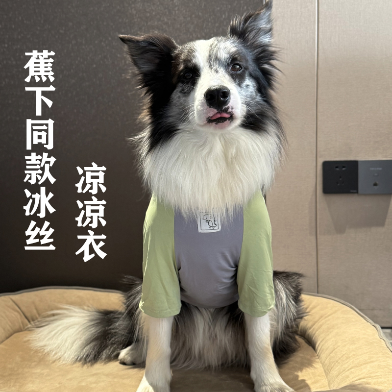 防掉毛夏季冰丝狗狗衣服大型犬