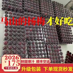 正宗无锡马山杨梅乌紫杨梅黑炭杨梅荸荠5斤端午礼盒孕妇新鲜水果