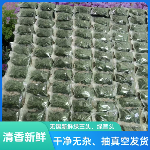 宜兴特产野生苎麻叶嫩新鲜绿苣头绿苎头清明团新鲜青团绿团子原料