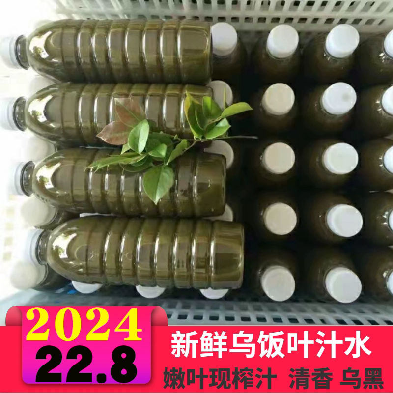 宜兴特产野生新鲜乌米饭叶汁南烛叶汁乌树叶汁乌米汁4斤作乌米粽