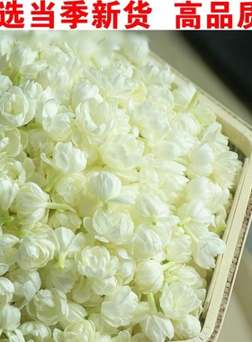 茉莉花茶2025新茶广西横县茉莉雪球特级干花苞泡茶浓香型干茉莉花