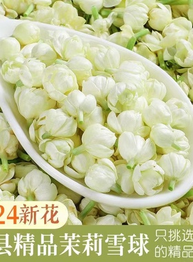 2024当季新花新鲜烘干茉莉雪球广西横县茉莉花干花泡茶茉莉花茶