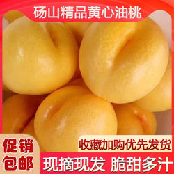 砀山油桃新鲜水果现摘黄肉油桃大果脆甜5斤包邮大果应季孕妇助农
