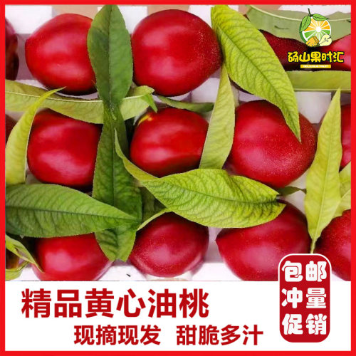 桃子新鲜水果油桃现摘黄心油桃新鲜水果5斤包邮大果应季孕妇助农