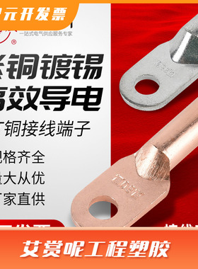 凤凰DT-101625铜接线端子铜鼻子国标A级紫铜铜色镀锡堵油线耳