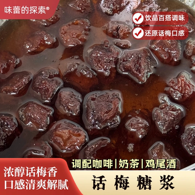 【味蕾的探索】潮汕话梅糖浆450g玻璃瓶装 潮汕特产咖啡饮品特调