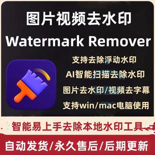 Remover 視頻去水印處理圖像 HitPaw Watermark MAC 軟件工具WIN