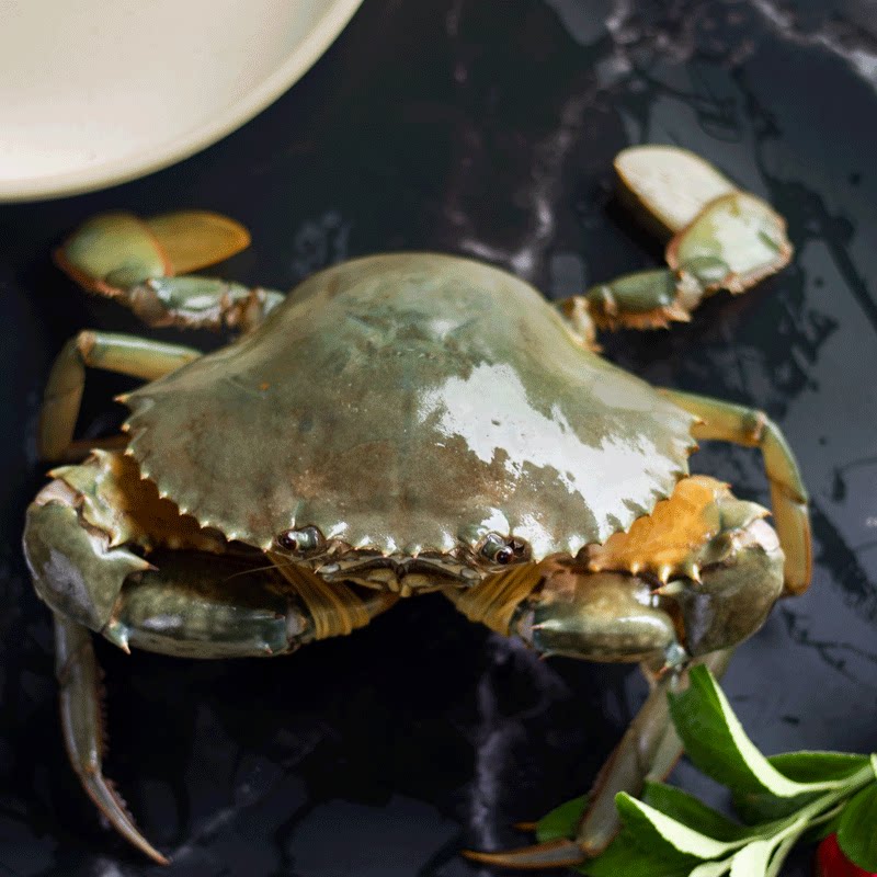 野生冷冻青蟹红膏肉蟹膏母蟹特大超大黄油蟹螃蟹2斤2只