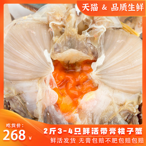 鲜活带膏梭子蟹野生石浦2斤3-4只