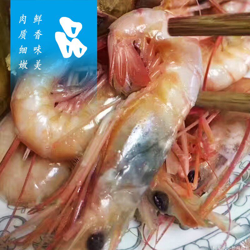 东海野生红头虾2斤 象山石浦海鲜生鲜水产 黑头虾大头虾 新鲜海虾