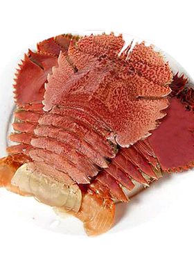 鲜活野生琵琶虾新鲜虾姑九齿扇虾