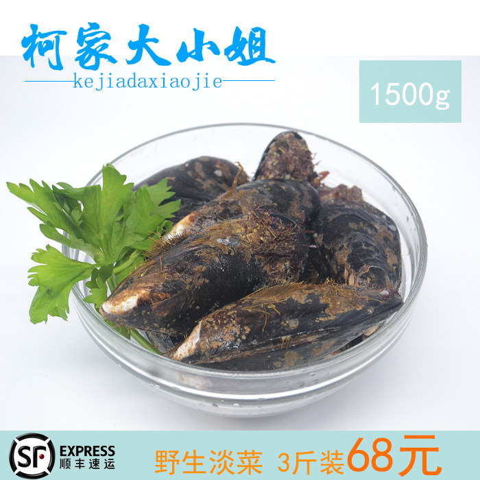 【鲜活】3斤青口贝淡菜新鲜海虹贻贝海螺肉贝类海红海鲜水产