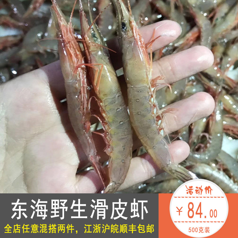 新鲜滑皮虾500克 东海象山石浦海鲜海虾新鲜鲜活冷冻剑虾呛虾条虾