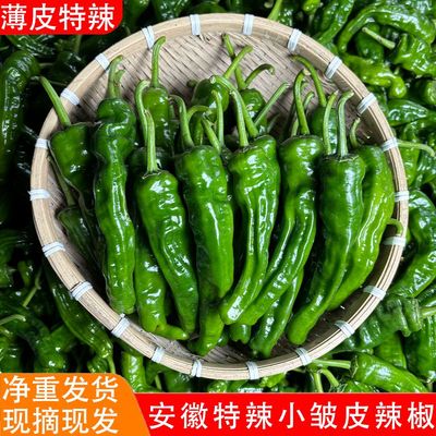 薄皮特辣小皱皮辣椒下饭菜