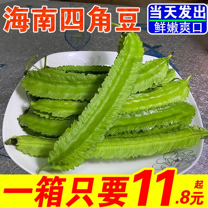 海南豆角皇帝鲜嫩应季蔬菜